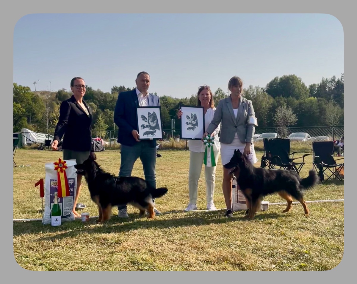 Bedste tæve og best in show - Fur And Paws Empathia